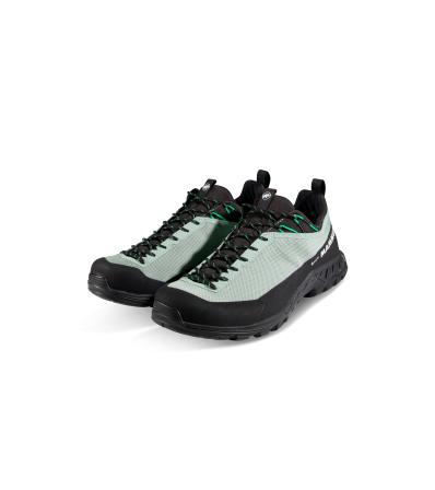 Mammut Alnasca IV Low GTX Men
